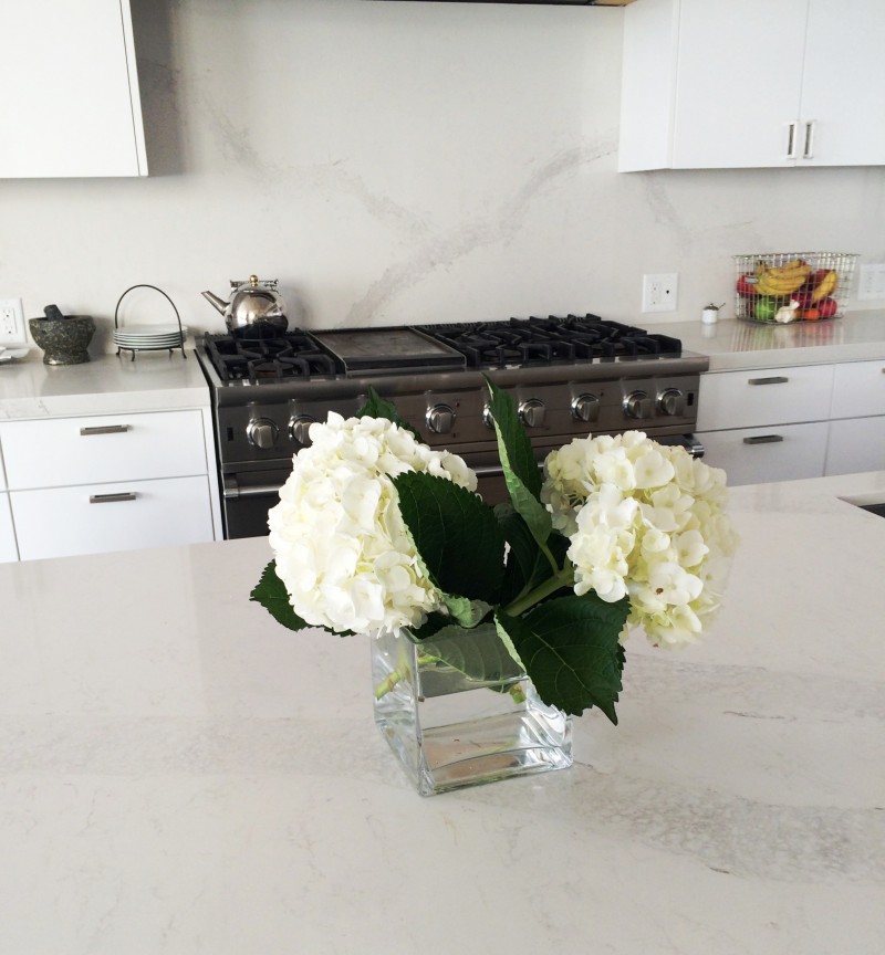 white hydrangea caesarstone kitchen counters cococozy
