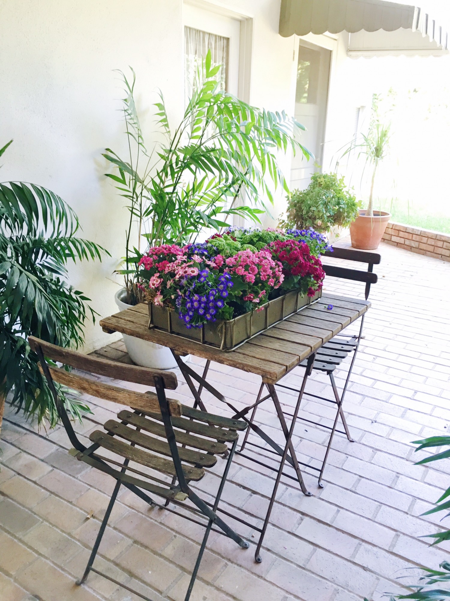 Easy Flower Box Planter - DIY Video COCOCOZY