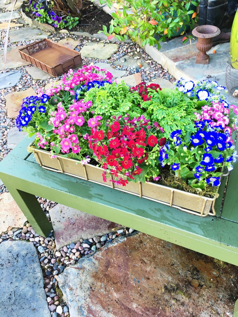 Easy Flower Box Planter DIY Video COCOCOZY