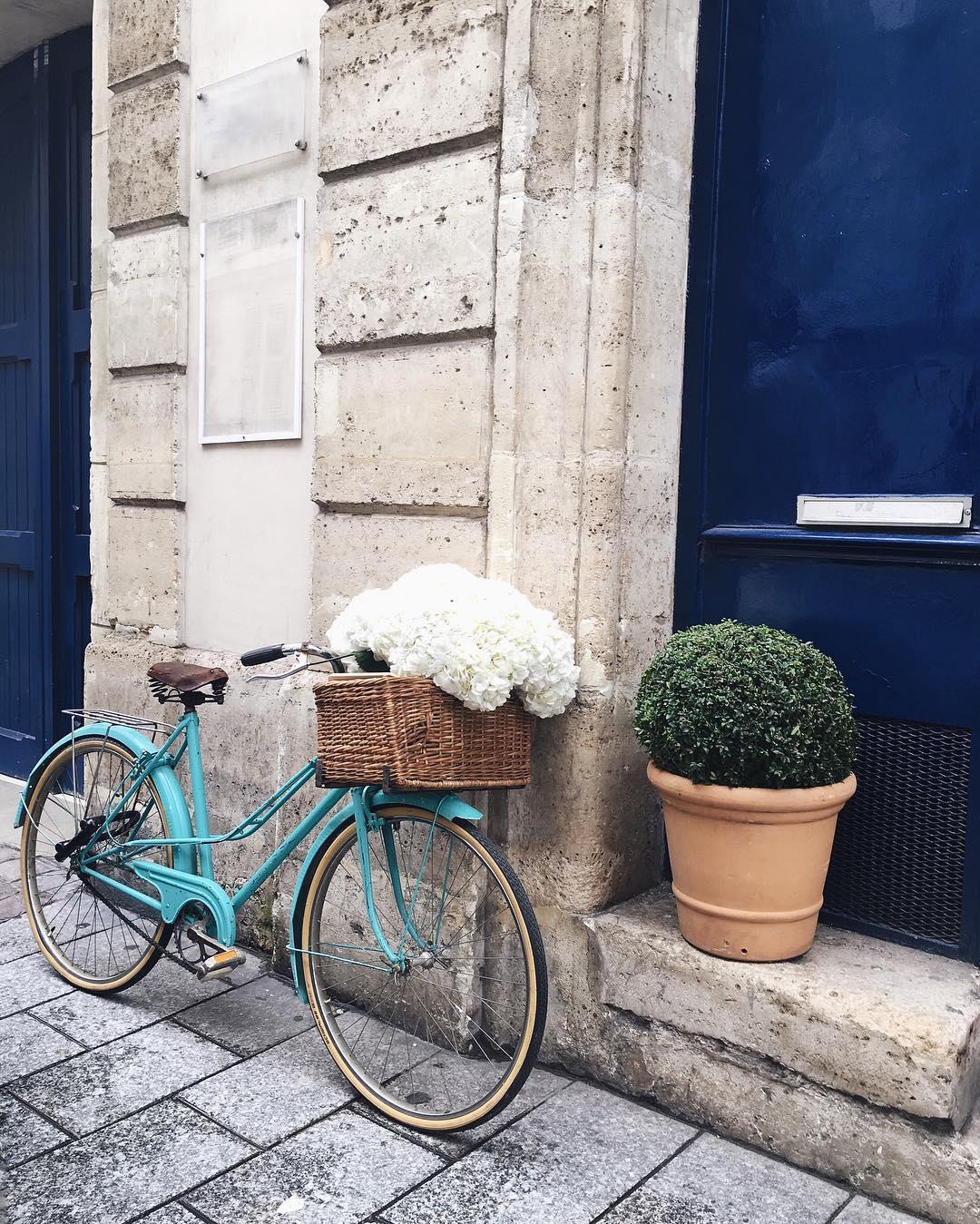 Turquoise blue bike white hydrangea Paris