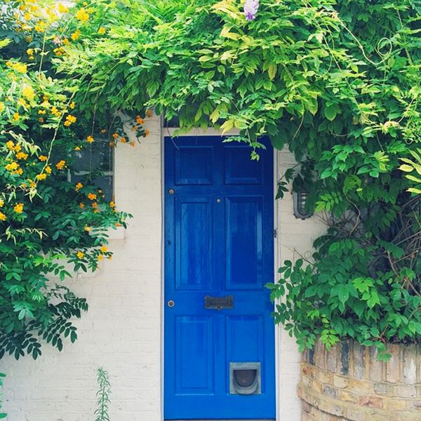 bright blue front door cococozy the seven
