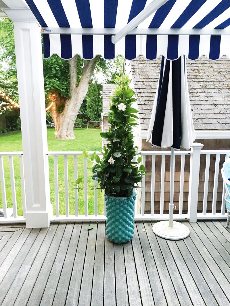 East Hampton House White Blue Potted plant Cococozy