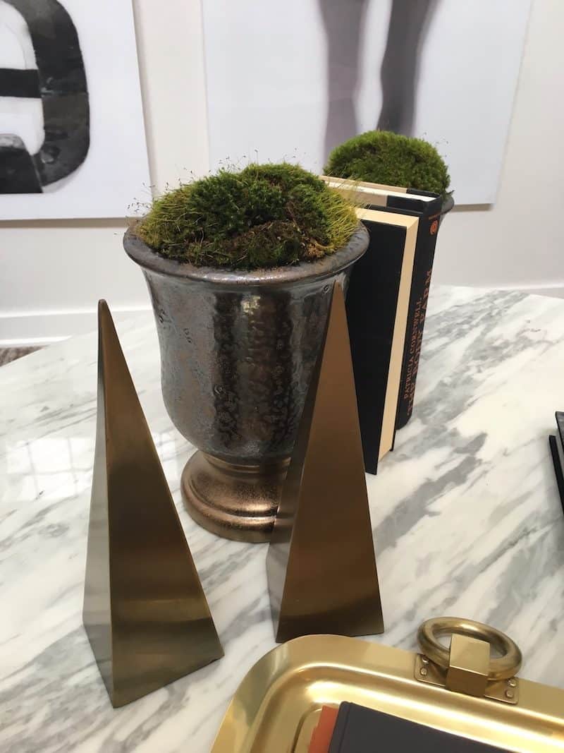 coffee table styling topiary