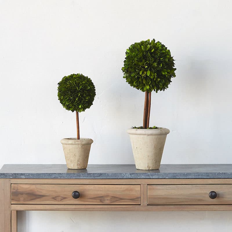 boxwood-sphere-topiary-coffee-table-styling