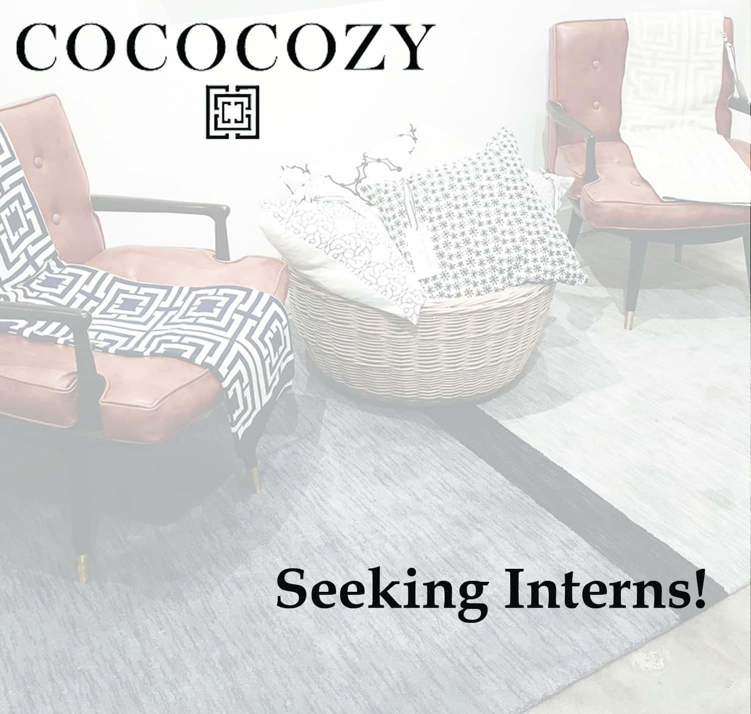 COCOCOZY+Internship