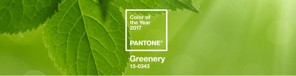 Alt tag for Pantone_Color_of_the_Year_2017_Shop_Banner