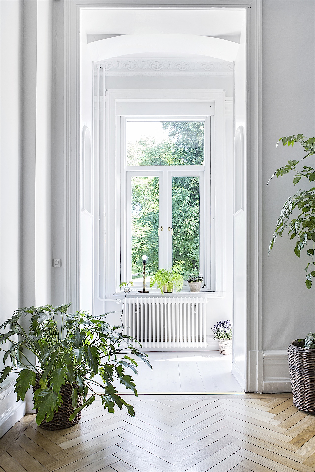 Alt tag for white-window-green-treetop-view-swedish-apartment-cococozy-alvhem