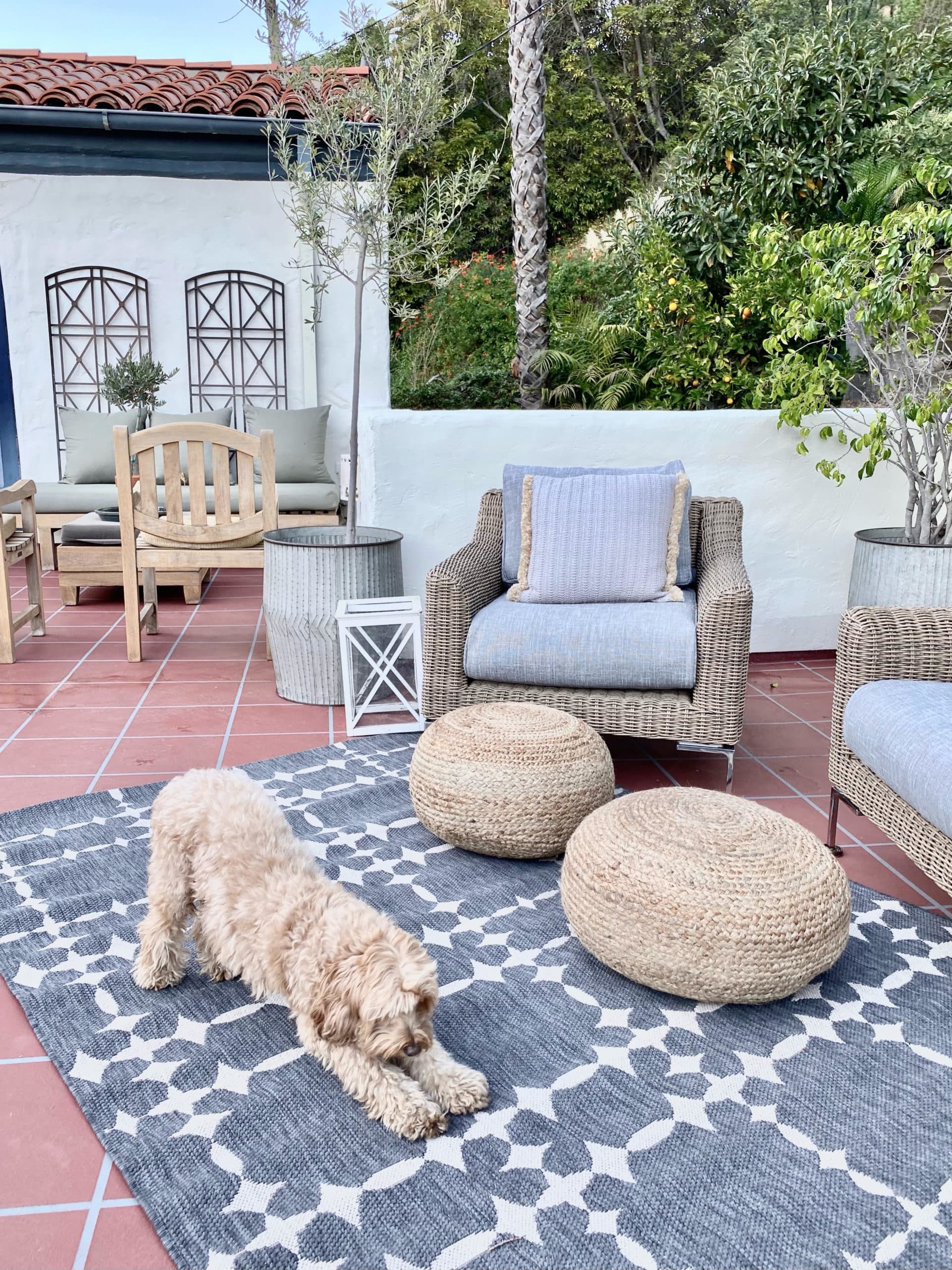 Alt tag for goldendoodle-outdoor patio-cococozy