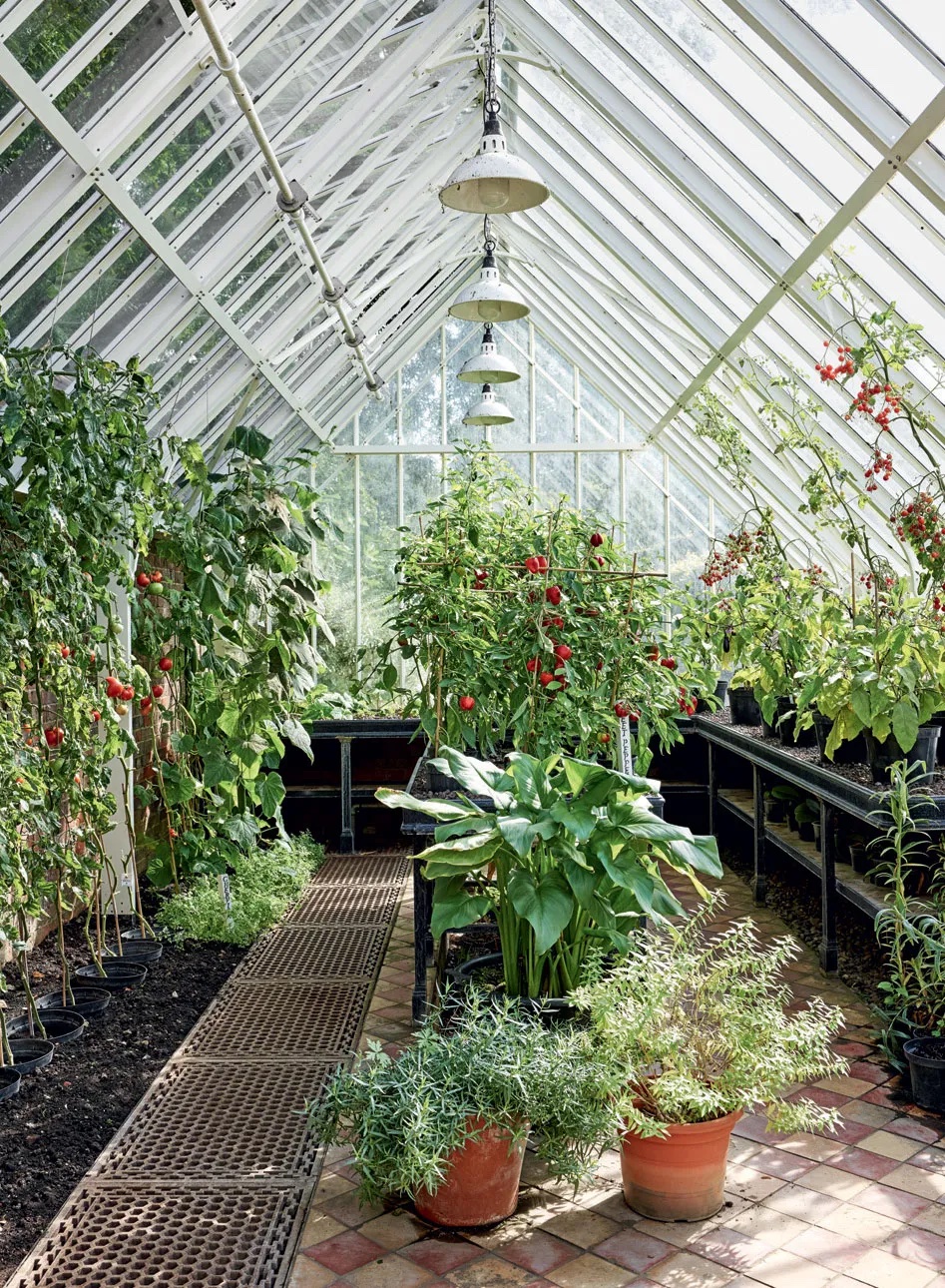 london greenhouse