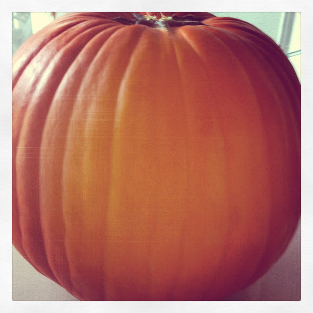 Close up of a pumpkin
