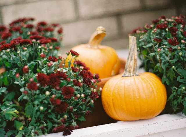 Small pumpkins at a fall themed al fresco dining party
