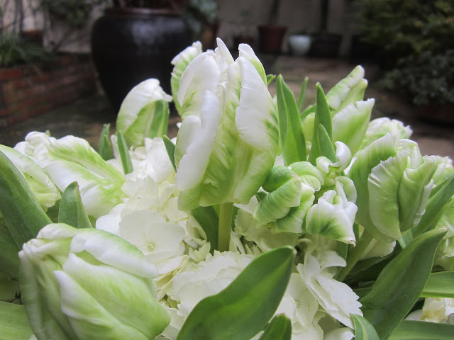 Close up of green and white Parrot Tulips and Hydrangea in a flower arragement on a patio