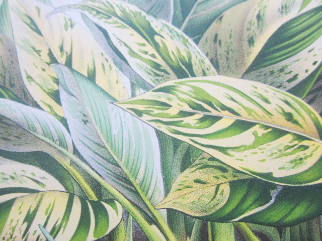 close up of leaves from English botanical prints from 1870s 