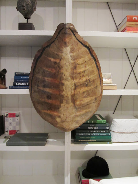Tortoise shell hung on a built in bookshelf as a piece of art in the Windsor house