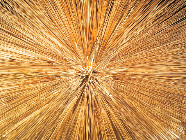 close up of a sculpture by Harry Bertoia
