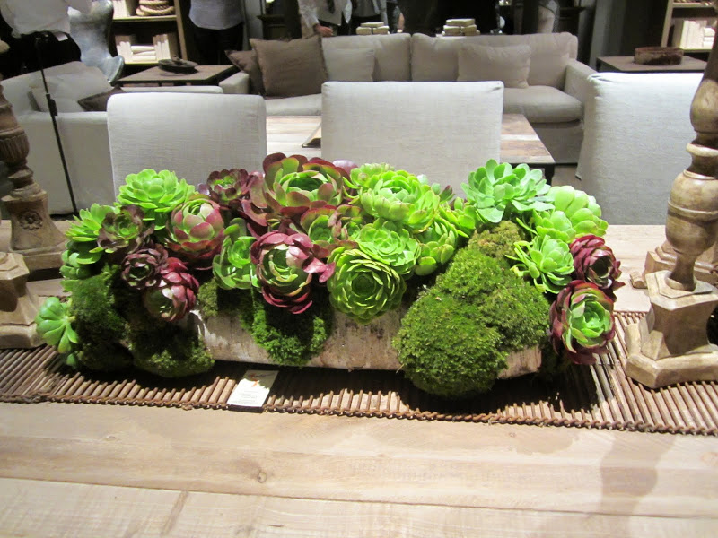 succulents in a stone planter on a wood table with a bamboo runner in the new Restoration Hardware store