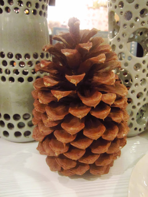 pine cone on table as a center piece