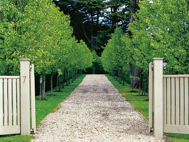 Tree lined gravel walkway