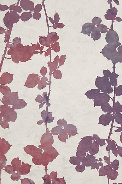 purple burgundy flutter vine wallpaper anthropologie foliage leaves wall decor design