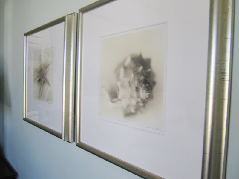 Close up of two framed pieces of art depicting a sea shell and a star fish at Casa del Mar