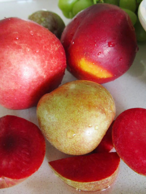 Close up of the cut pluots