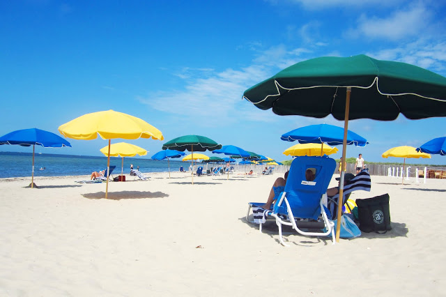 beach littered with blue, dark green and yellow umbrellas