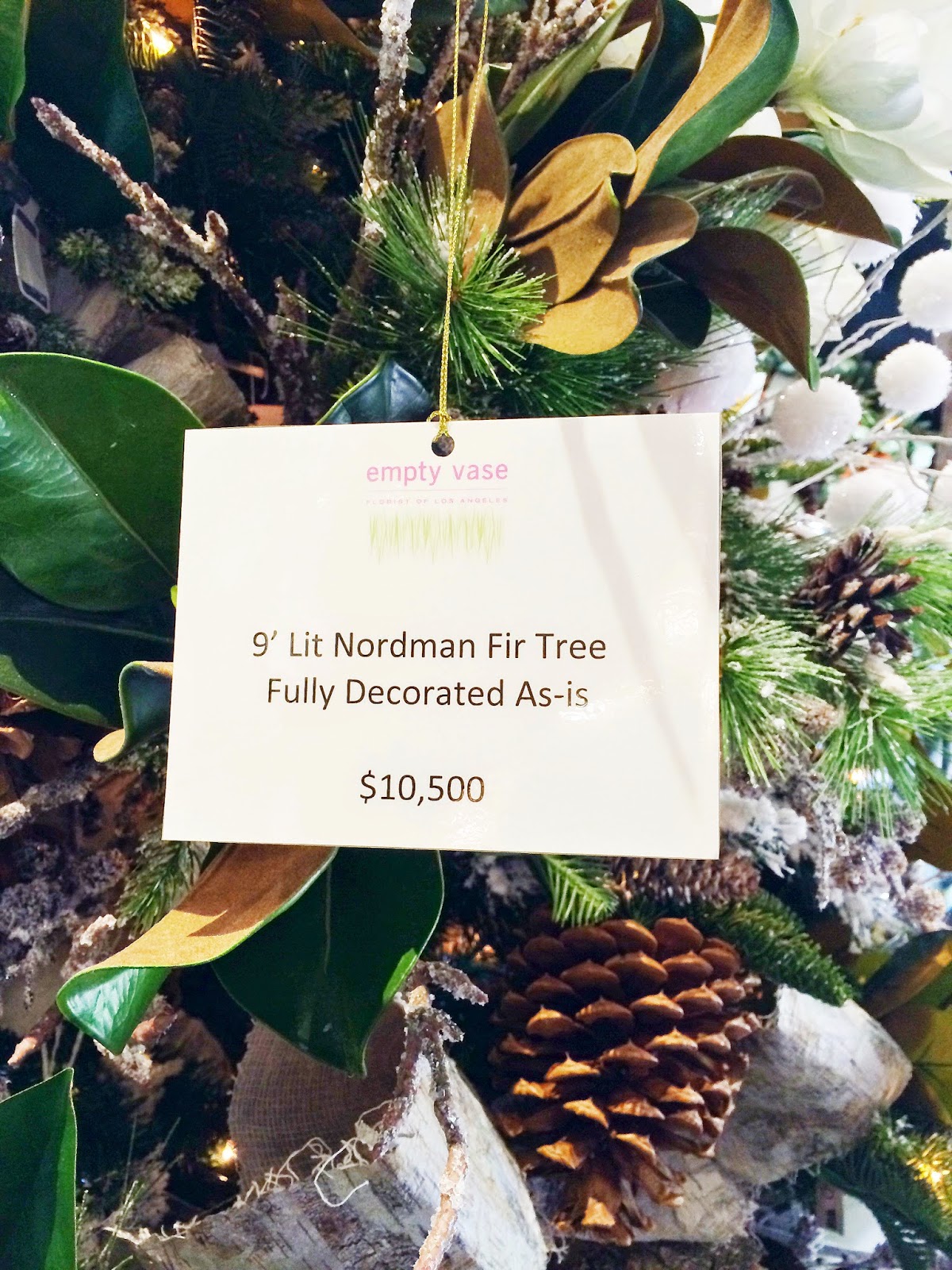 Nordman fir Christmas tree