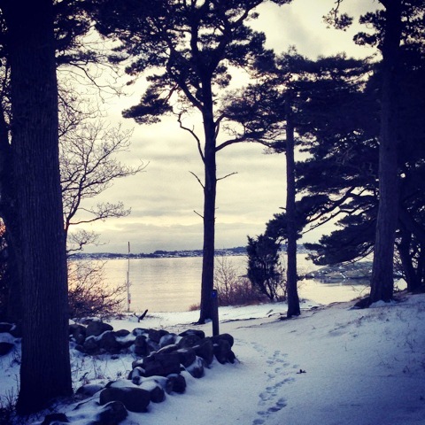 Swedish coastline in winter with dark trees, footprints in stone and still water