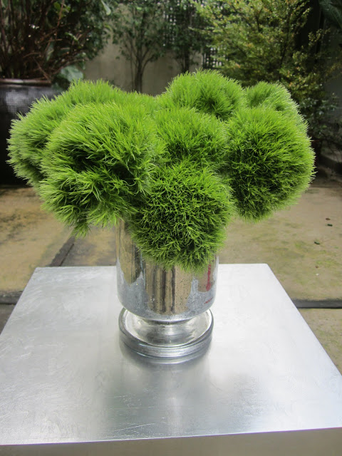 dianthus green trick in a mercury glass cylinder vase on a small metal table on a patio