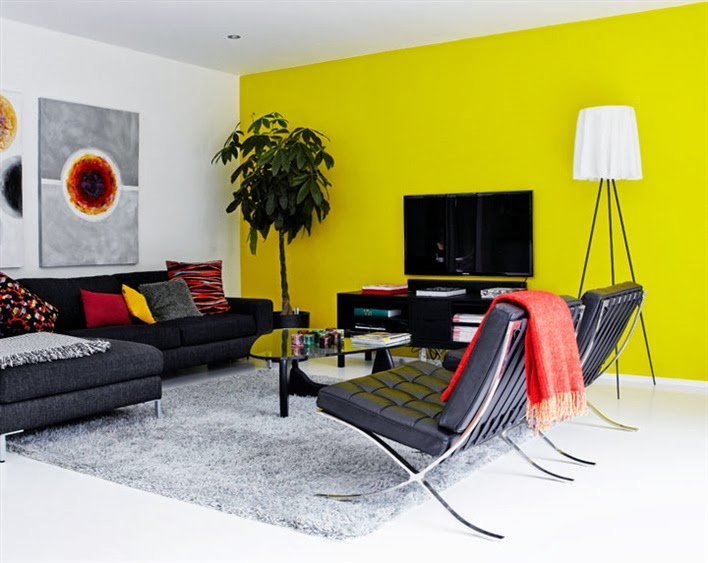 Modern living room with black Barcelona chairs, a dark grey sofa, grey shag rug, white concrete floors and a yellow accent wall