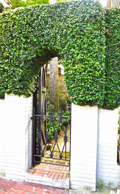 Secret garden and iron gate in Charleston, SC