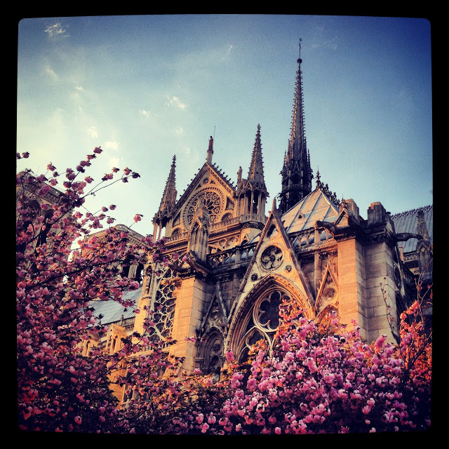 Paris church cathedral Notre Dame pink spring flowers blossoms trees 
