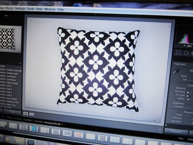 Computer screen with images from the COCOCOZY pillow photo shoot