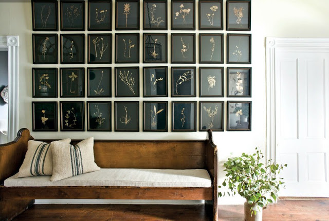 country home hallway with a bench with white cushions, wood floor and a wall lined with 32 pressed botanicals framed in black and all on black