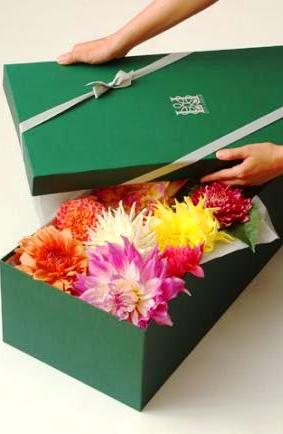 Flowers in a box by Lily Lodge