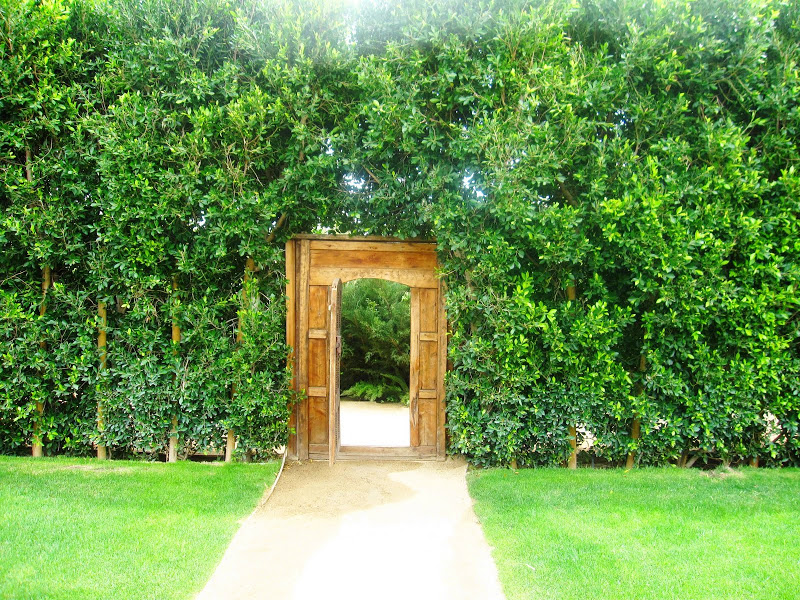 Green ficus surround a wood carved doorway leading to a private garden at the Parker Hotel in Palm Springs