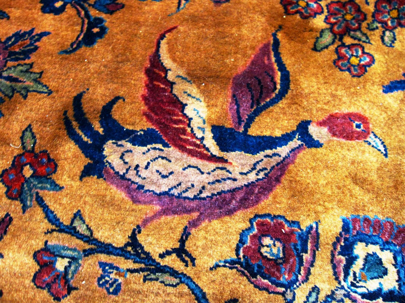 Close up of a bird on a Manchester Kashan carpet from Central Persia