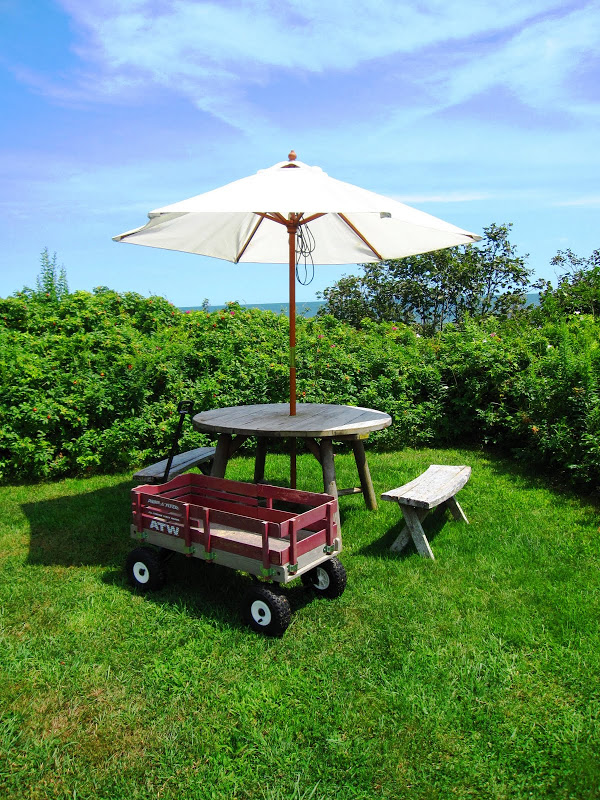 Radio Flyer red wagon next to a wooden picnic table and umbrella on the edge of a cliff in Nantucket 