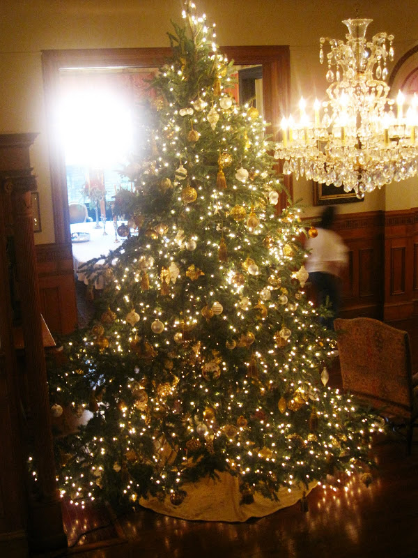 Large Christmas tree in a New Orleans mansion