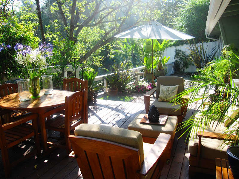 Deck in the Hollywood Hills with teak furniture Palm trees, banana plants, Ficus, and Birds of Paradise