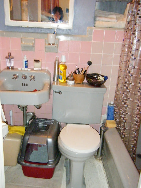 Small and cluttered pink bathroom