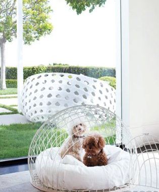 Dome shaped dog crate from eiCrate