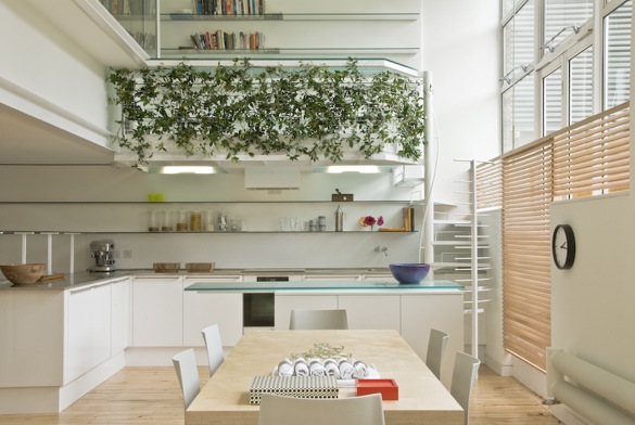 Kitchen in a London loft with white cabinets, floating shelves, silver counter top, a white island with glass top, white stairs to the second floor and a wall of plants