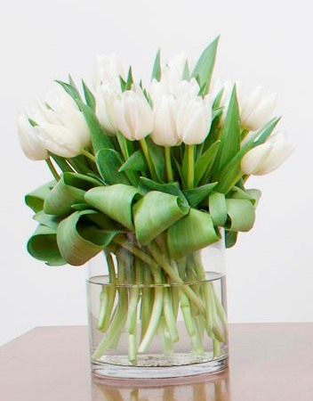 white tulips in a glass vase